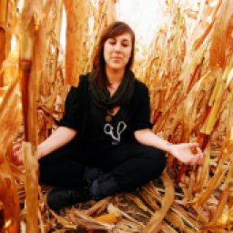Meditation In The Cornfields